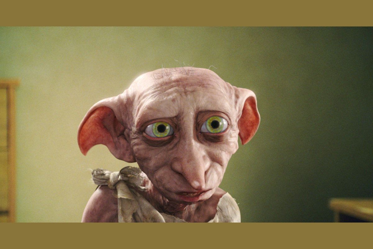 maximum-pop-what-dobby-are-you