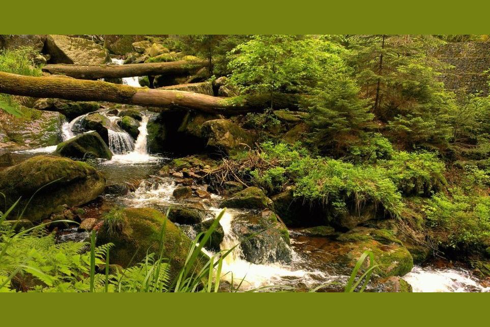 Wo ist SachsenAnhalt am schönsten?