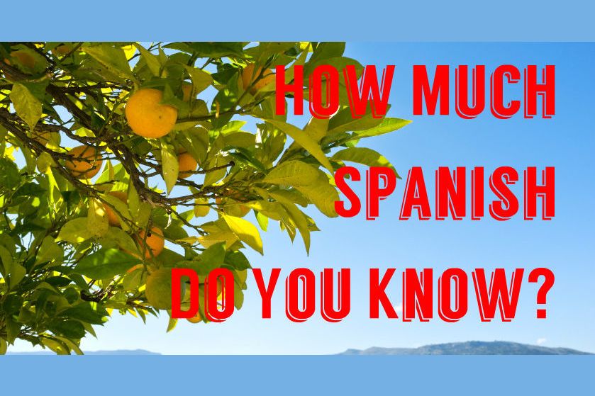 Test ¿Qué tan bien conoces el idioma español?