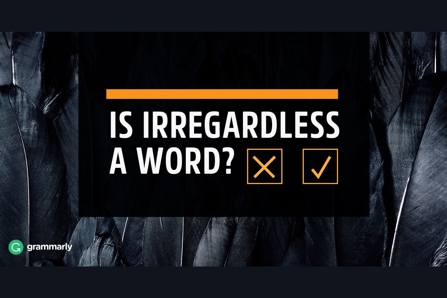 is-irregardless-a-word