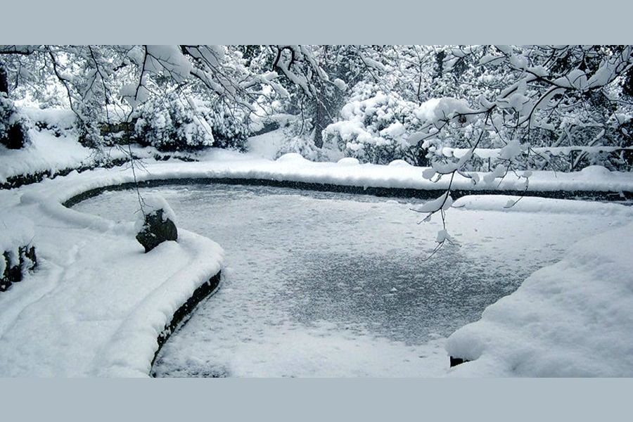 Расскажи все что можешь о зиме используя следующий план winter