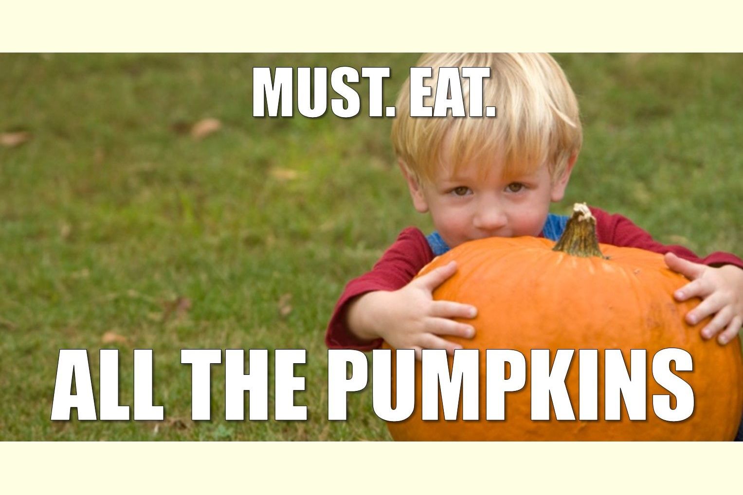 17-delicious-ways-to-eat-pumpkin-all-the-time