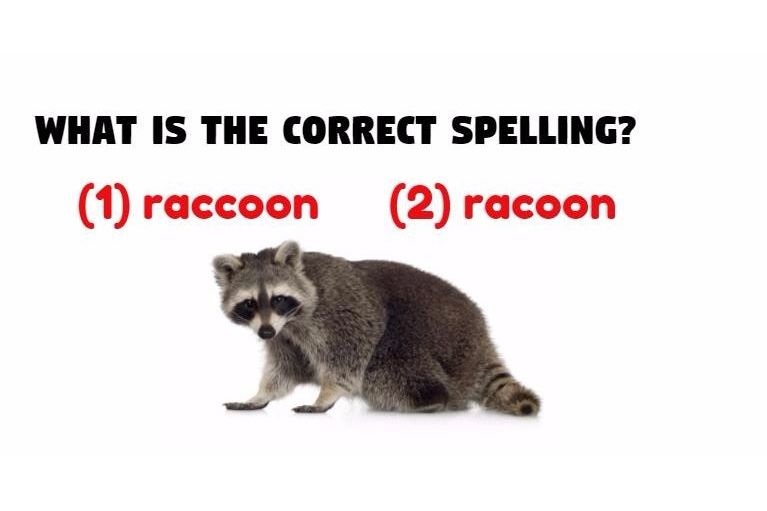 This Spelling Test Is Driving The Wild