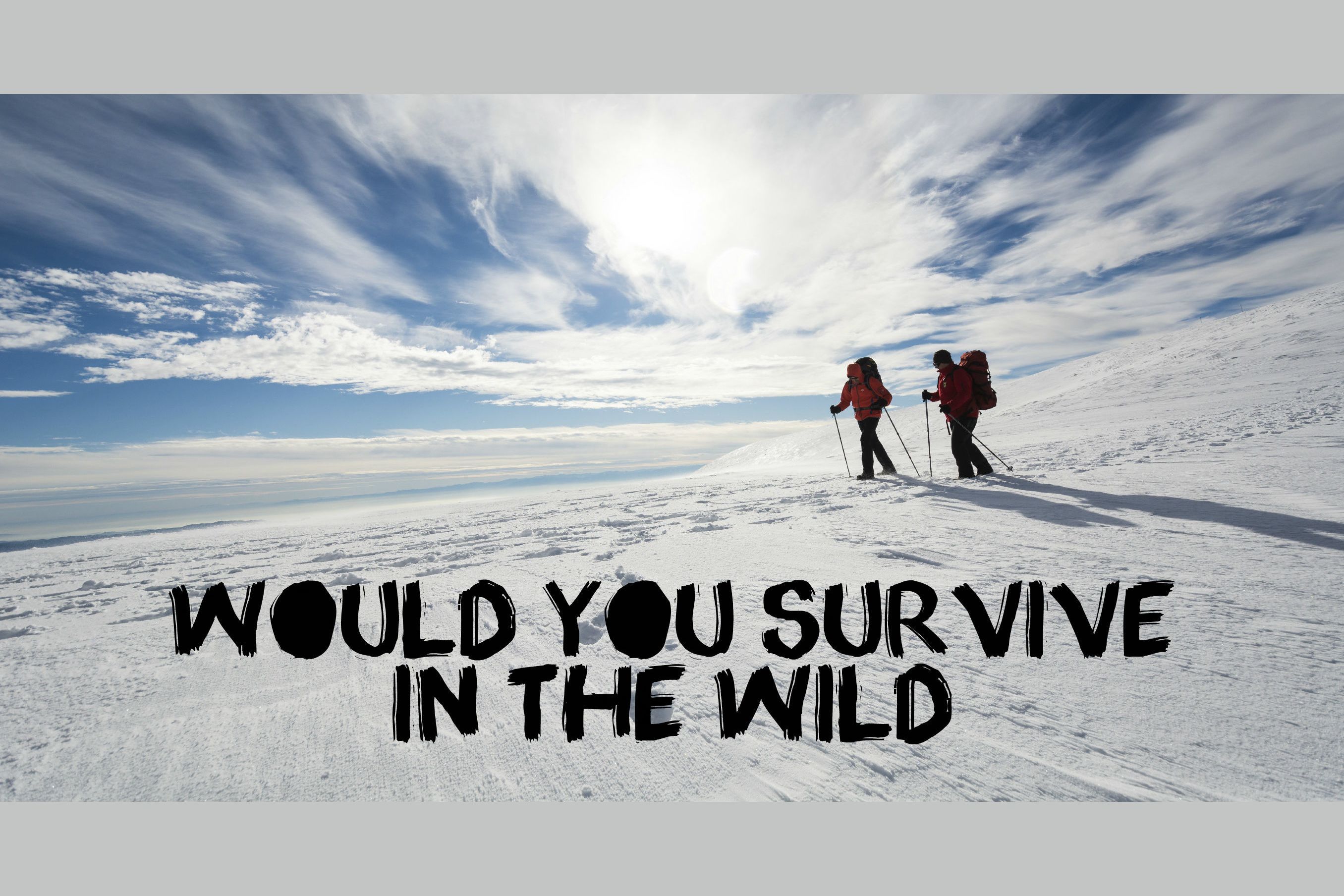 Be world wild. Outdoor Wild World. Rules of Surviving in Wild nature. Small and Survive the Wilds глина. Puzzle Survivor.