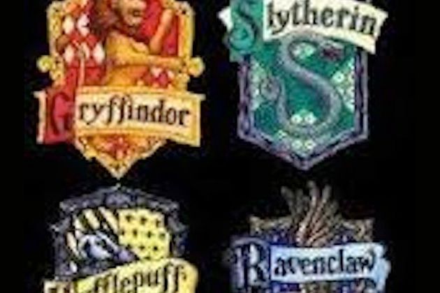 Which Harry Potter House Are You In?