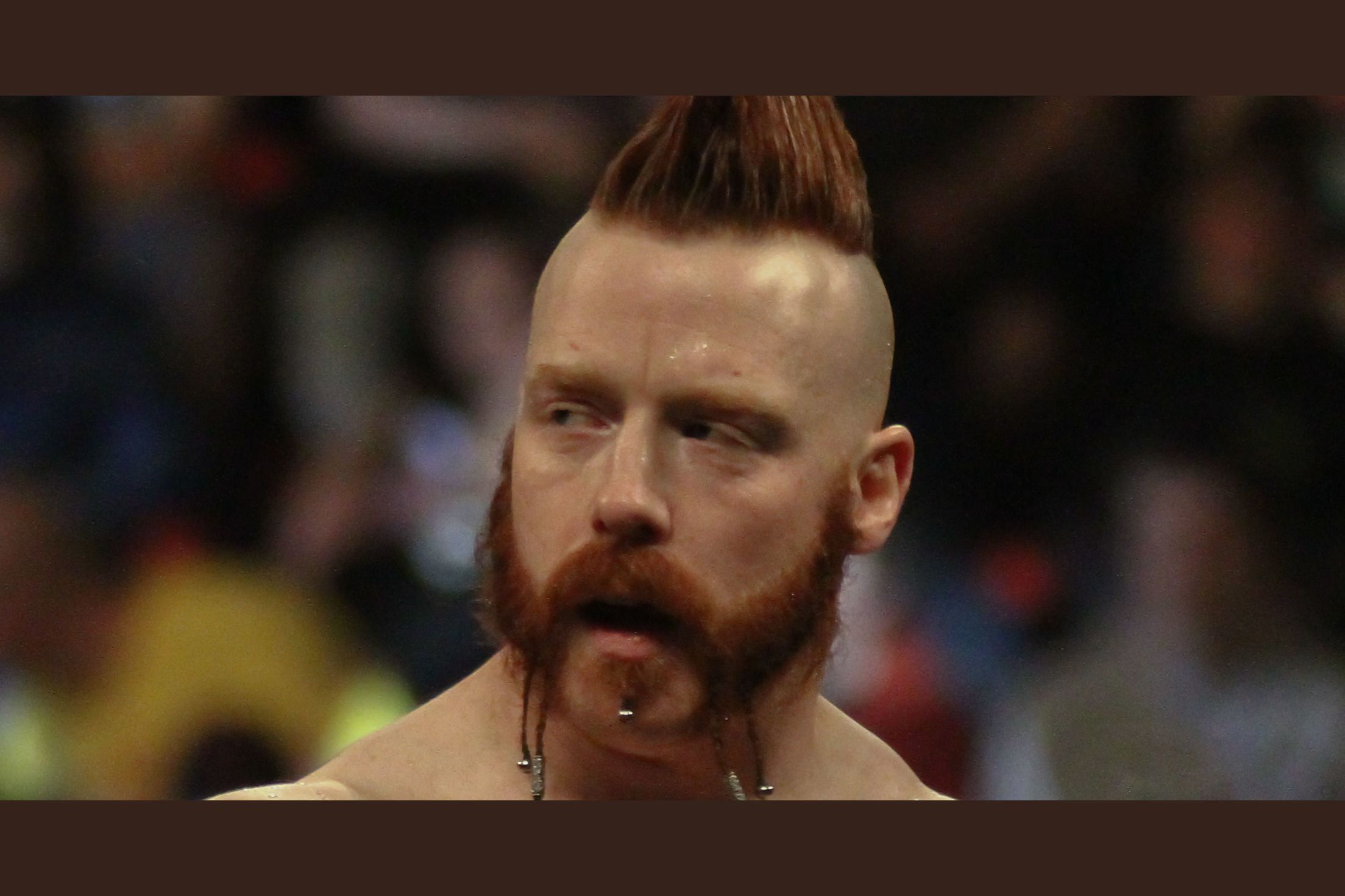 Mr. Money in the Bank Sheamus