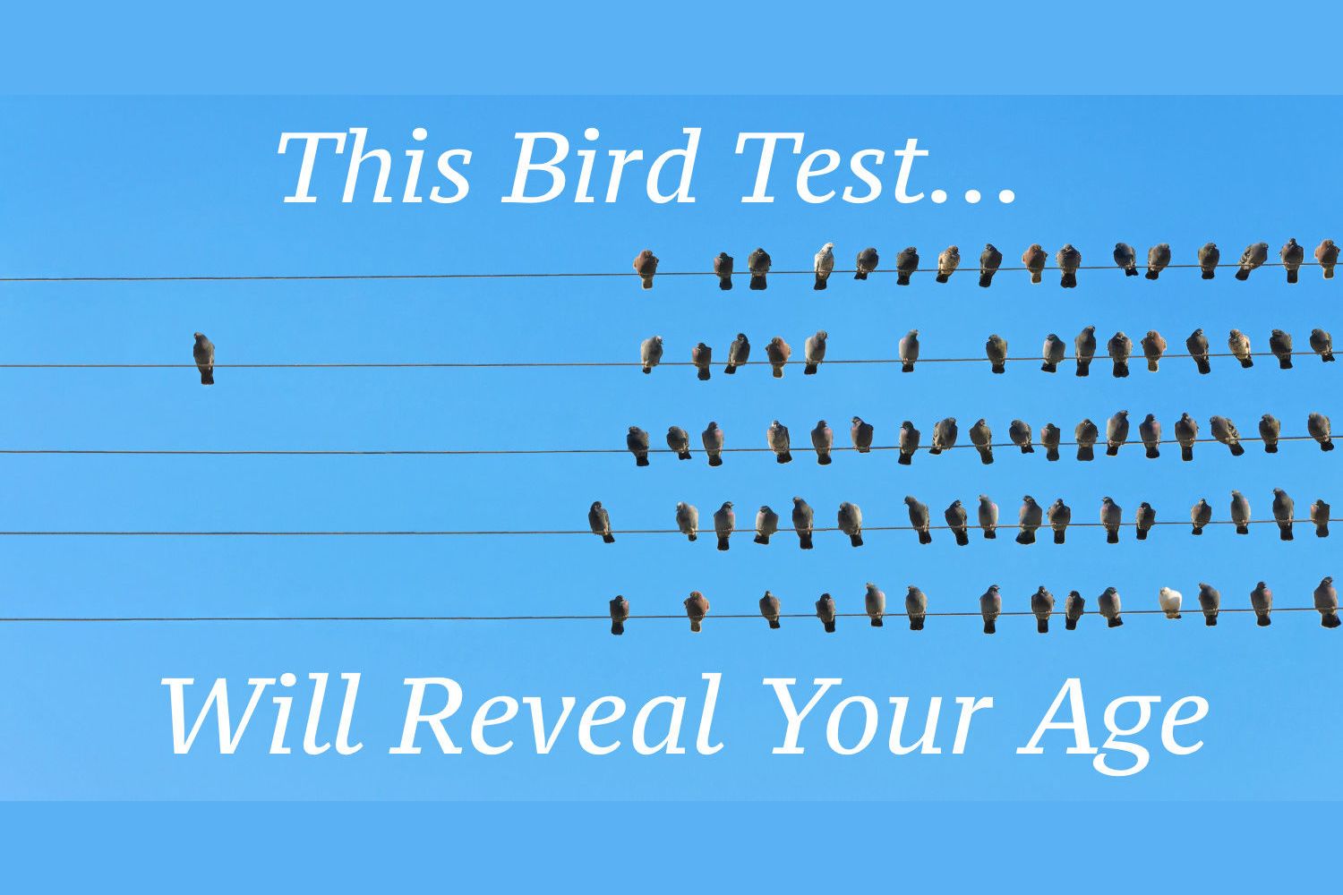 This Bird Test Will Reveal Your True Age