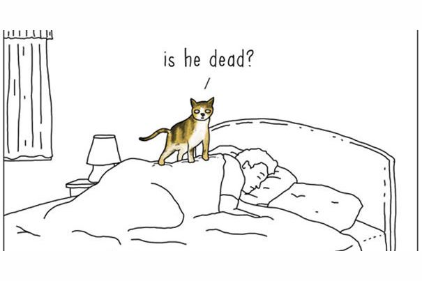These Comics Accurately Predict What Would Happen If Animals Could Talk!