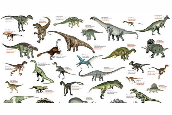 What Type of Dinosaur are you?