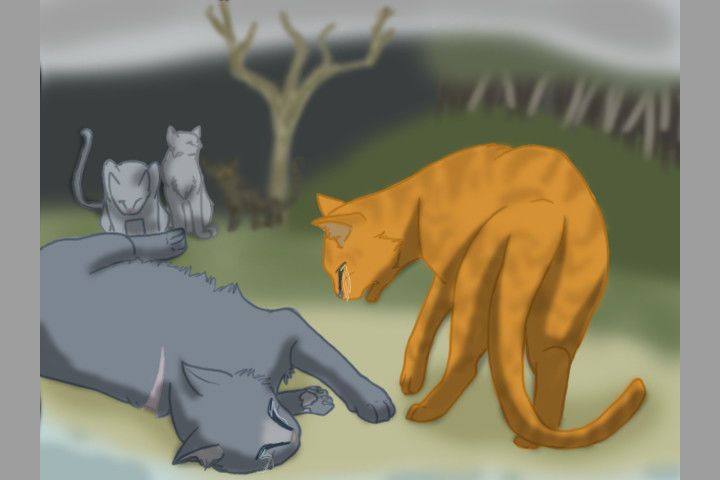 Which Warrior Cat Are You? Bluestar, Leafpool, Squirrelflight, Or