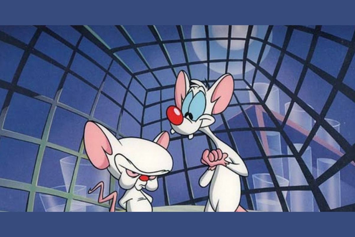 Can You Remember The Lyrics To The Pinky And The Brain Theme Song? 