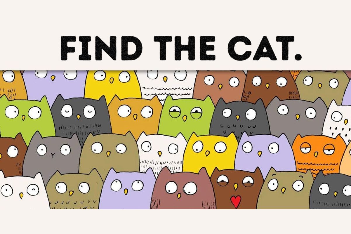 Найди кота среди собак