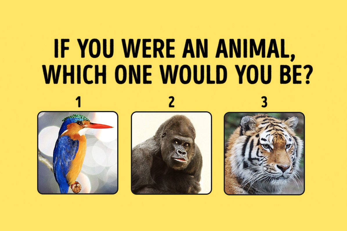 Test: If you were an animal, which one would you be?