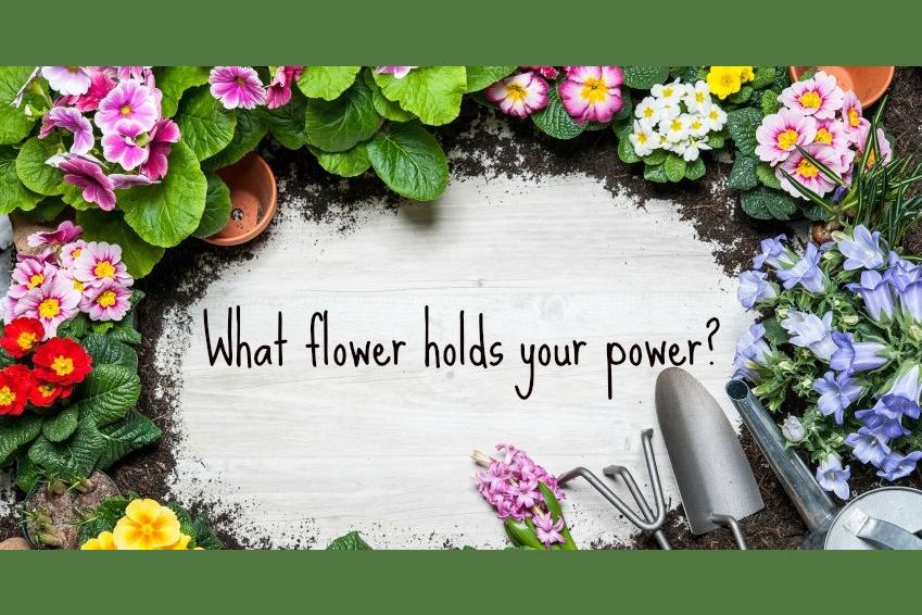 What Flower Are You Really?
