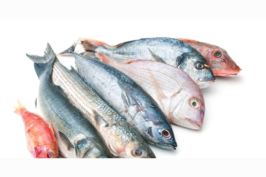 Good Fish Guide