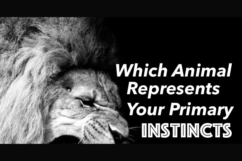 Which Animal Represents Your Primary Instincts?