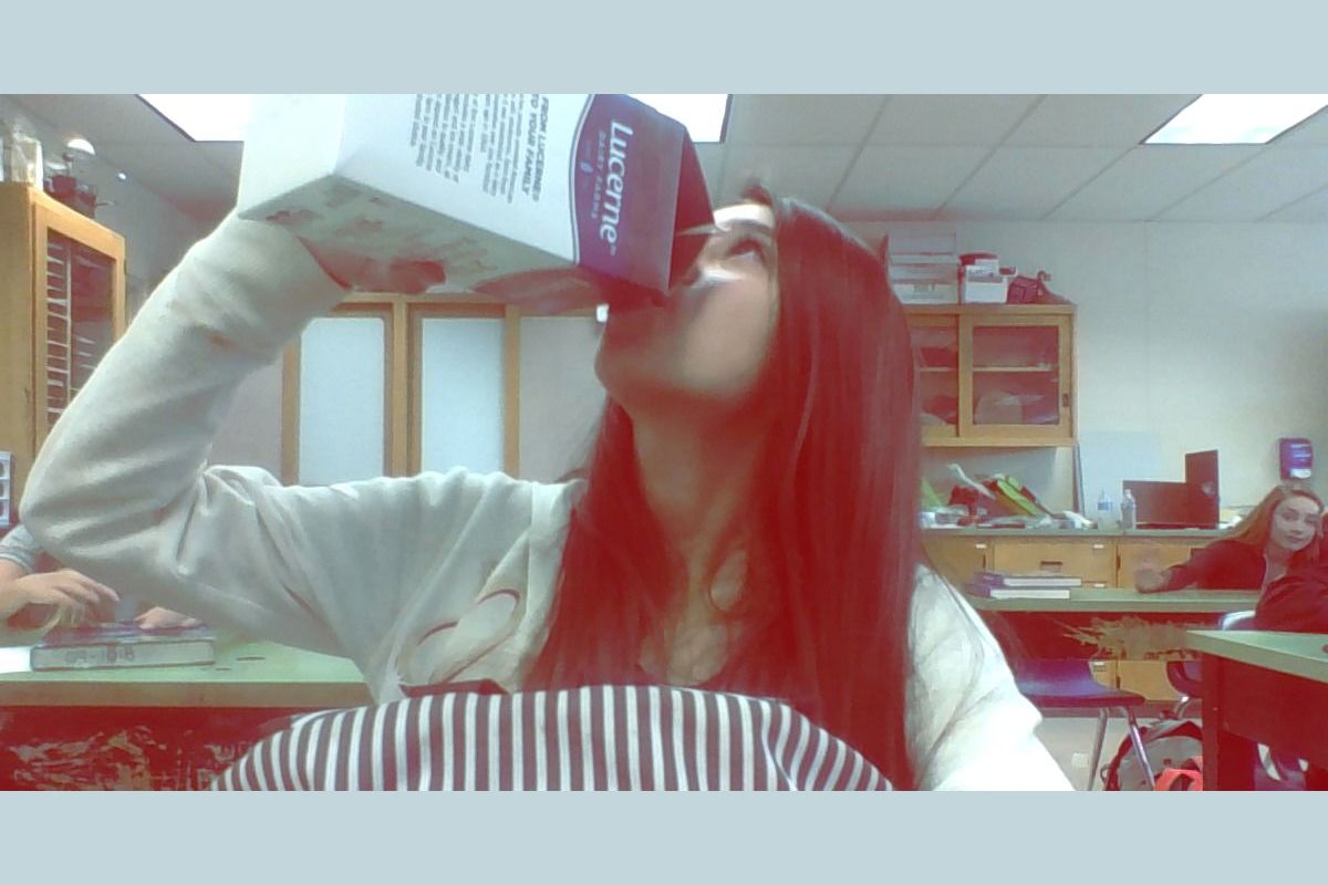 Who is you favorite singer?