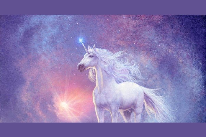 What Type of Unicorn are You?