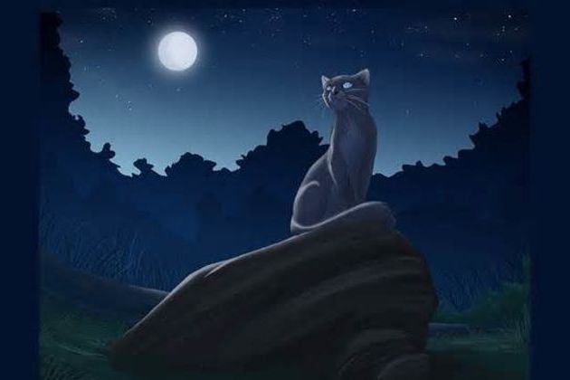 What Warrior Cat Are You