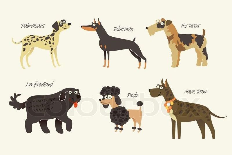 how to figure out what dog breed is for you