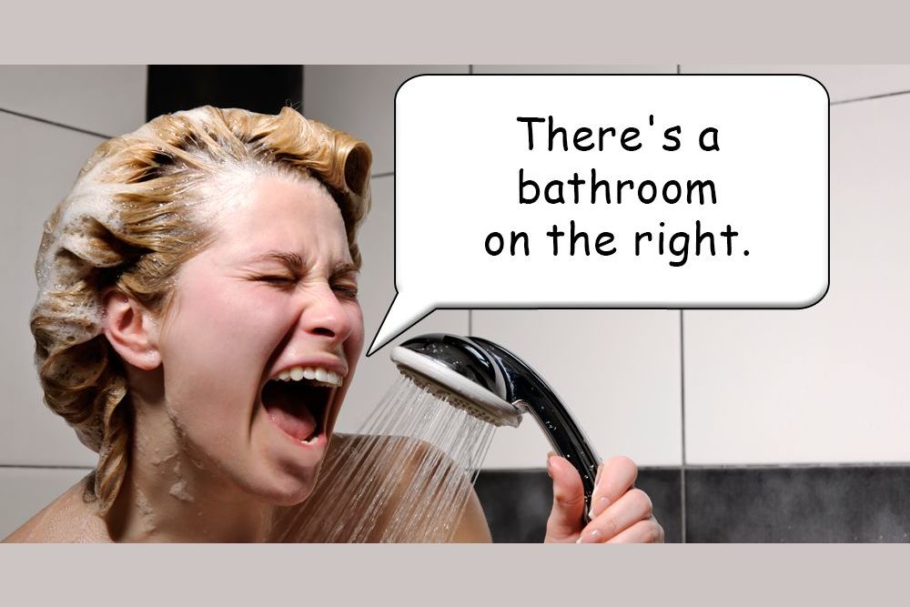 Do You Sing In The Shower?