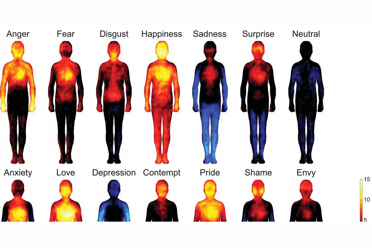 Эмоциональная карта тела
