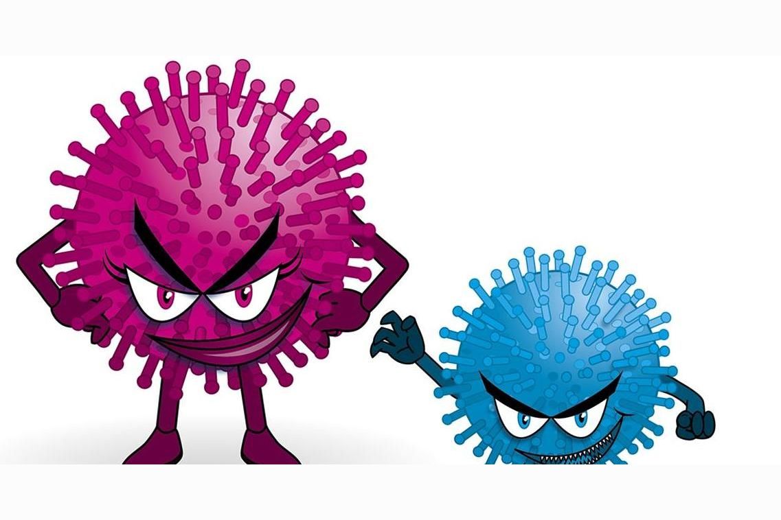 Which flu bug are you?