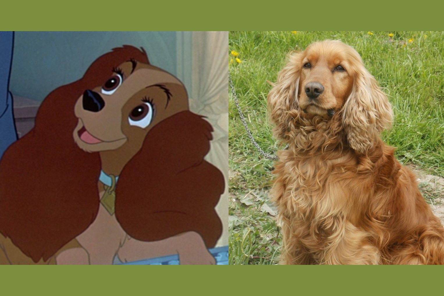 Can You Name The Breeds Of These Famous Cartoon Dogs?