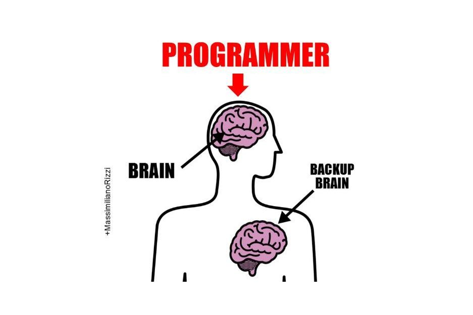Do You Have A Brain Of A Programmer?