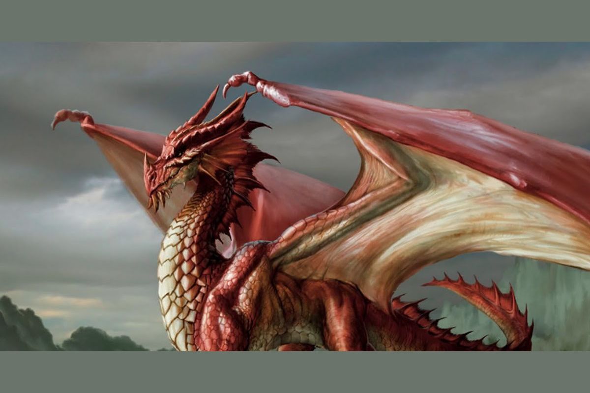 what-kind-of-dragon-are-you-quizzes-cbc-kids