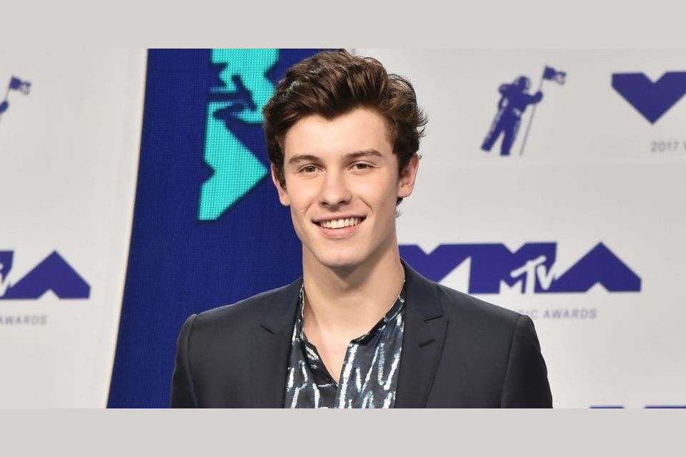 Quiz Which Shawn Mendes Hit is Your Theme Song?