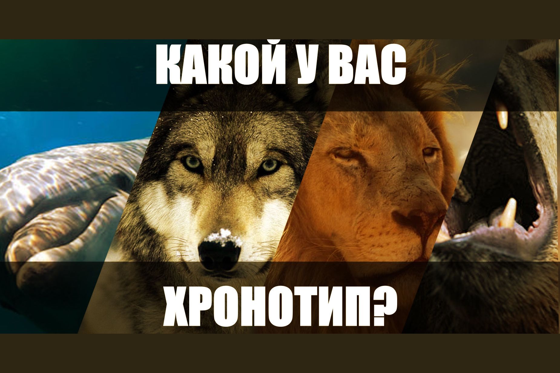 У вас был какойто план