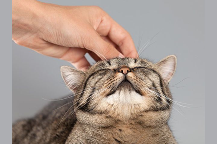 3 Qadimgi yunon xudolar panteoni: asosiy syujetlar va personajlar