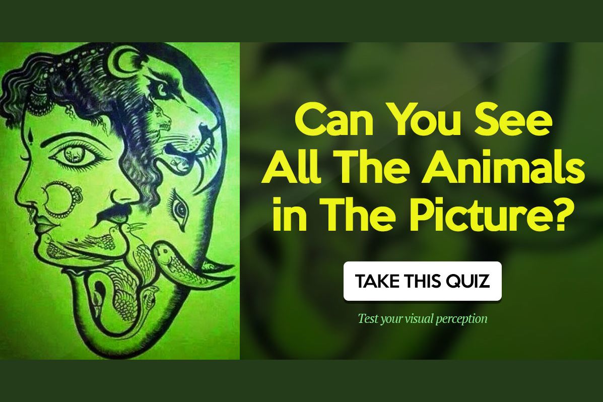 can-you-see-all-the-animals-in-the-picture