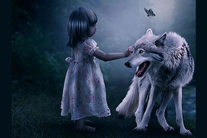 st lucy's home raised by wolves short story summary