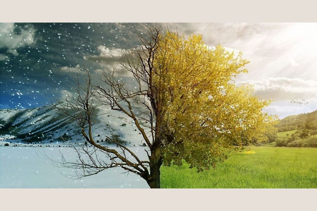 What season are you?