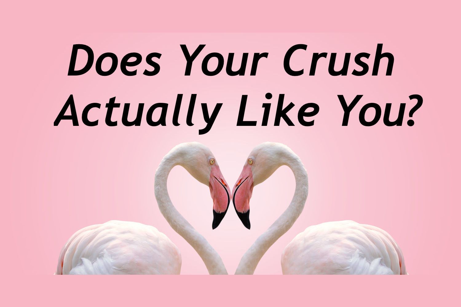 Answer These Questions And We'll Tell You Whether Or Not Your Crush ...