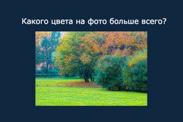 Тест: Тест: Реалист вы, идеалист или сюрреалист?
