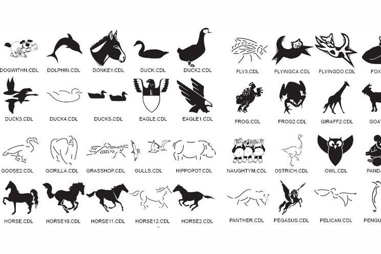 which animal where you in you'r past life?