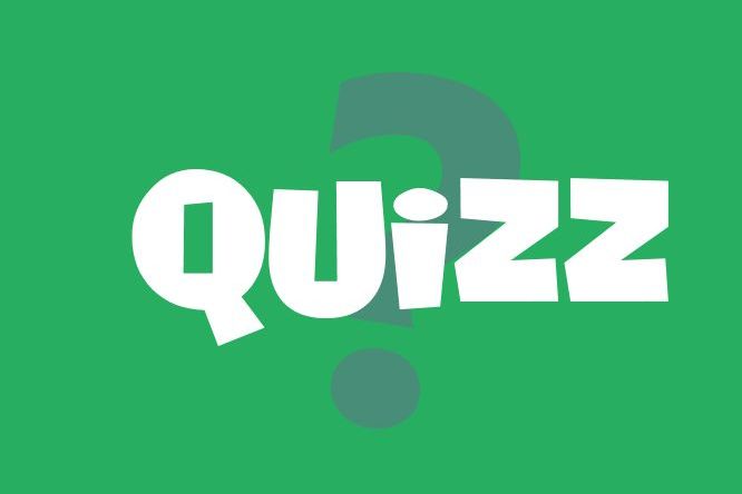 Quizz. Квиз. Квиз фон. Quizz под. Quizz Одноразка.