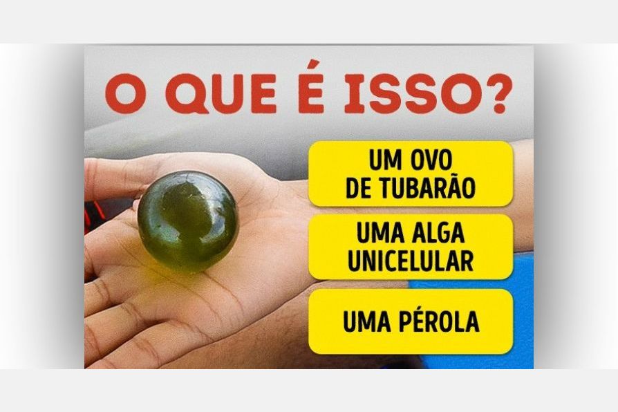 Em Que Ano Foi Inventado O Vidro Teste: o que foi inventado por nós e o que é natural?