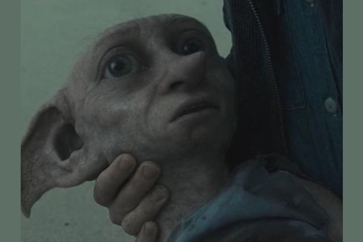 Quiz - Duvidamos que você saiba se estas afirmações sobre Dobby de