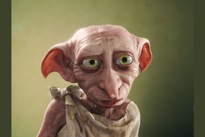 Quiz - Duvidamos que você saiba se estas afirmações sobre Dobby de