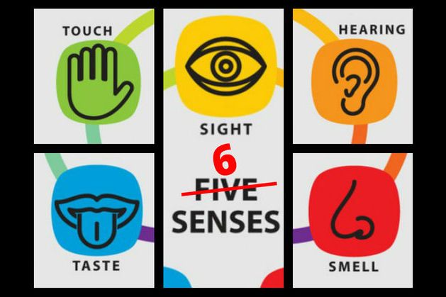 What Is Your 6th Sense?