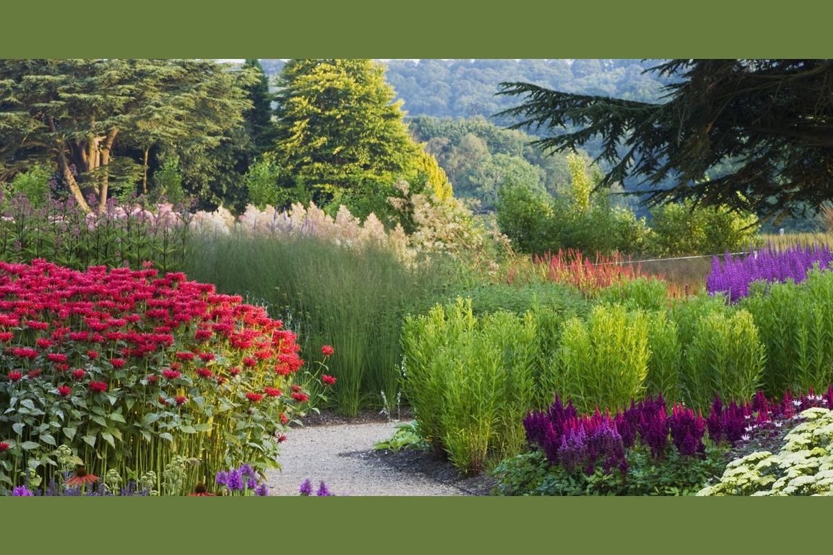 What flower are you?