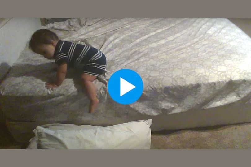 This Genius Baby Made A Daring (And Safe) Escape. You'll Be Shocked When You See How!