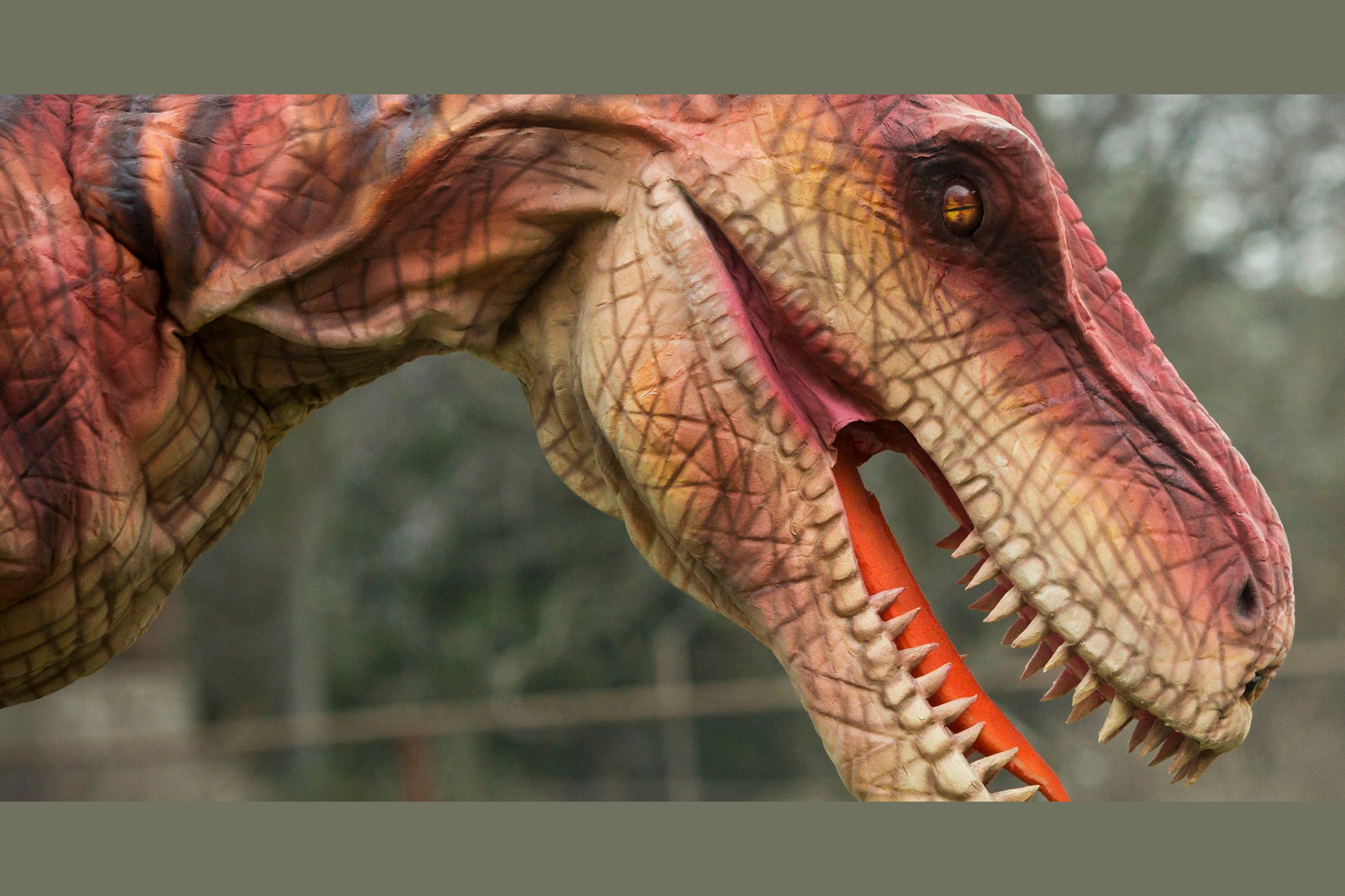 all dinosaurs real