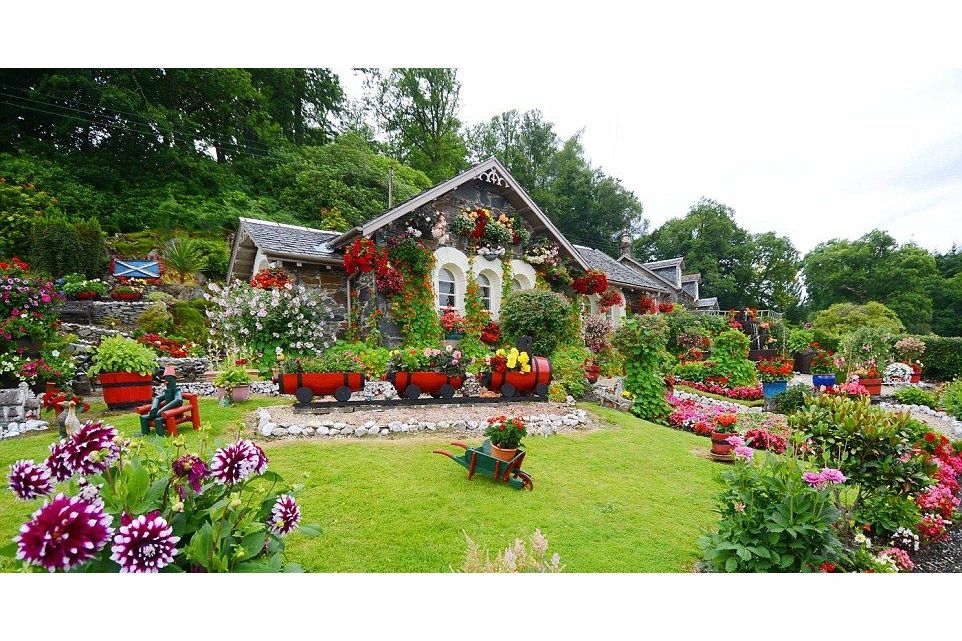 What flower are you?