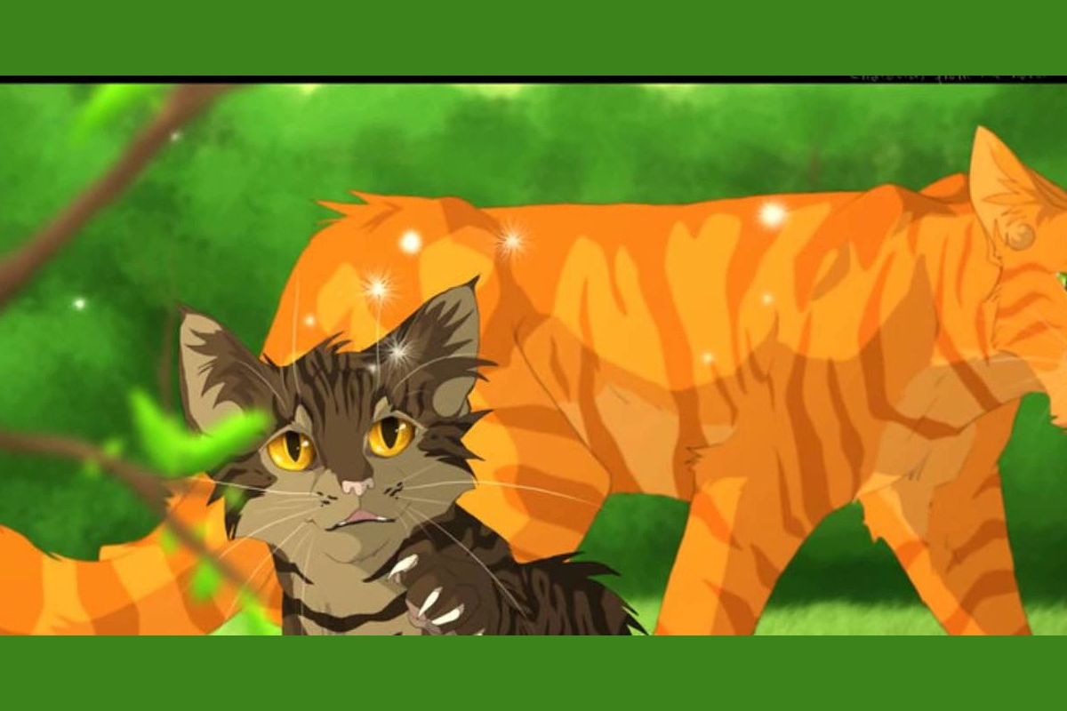 What Warrior Cat Are You? Quiz - ProProfs Quiz