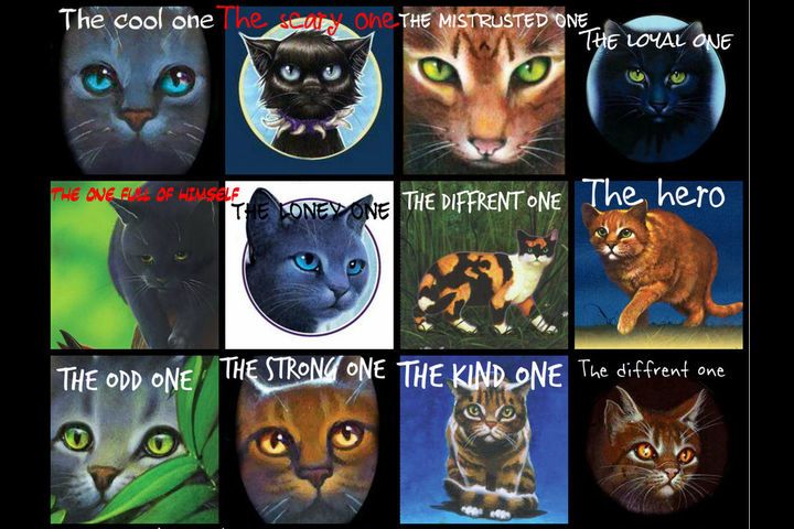 Qual o nome desses gatos? (Warrior Cats Quiz)